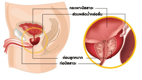 ceowkfopfaef